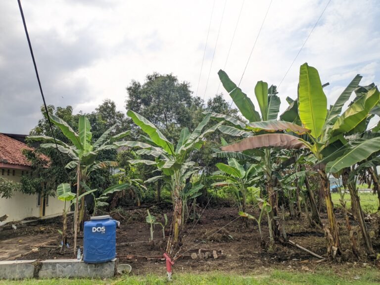 Mewujudkan Ketahanan Pangan, Rumah Peri Dinas Tenaga Kerja Indramayu membuat Taman PUSPA